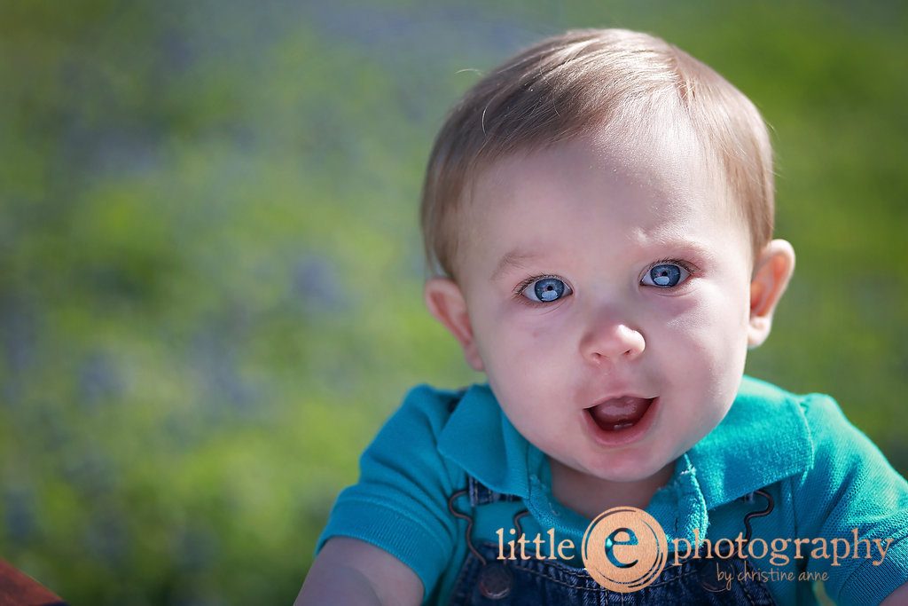 Bluebonnet photography taken by photographer Little E Photography by Christine Anne Peirce Coleman in Willow Park, Texas