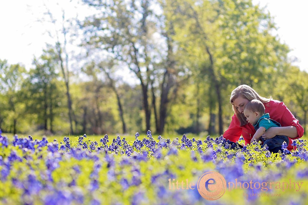 Bluebonnet photography taken by photographer Little E Photography by Christine Anne Peirce Coleman in Willow Park, Texas